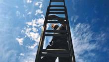 Possum Catcher on Ladder